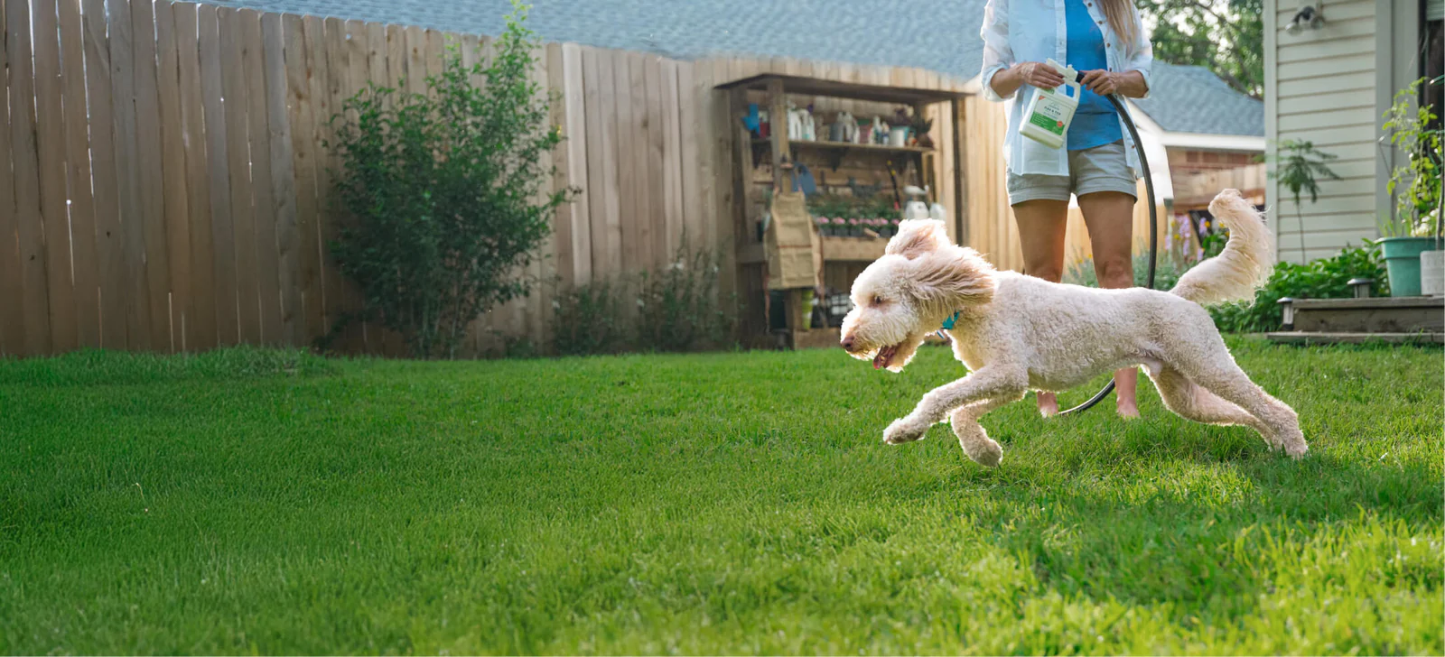 Fierce Love for Your Pack